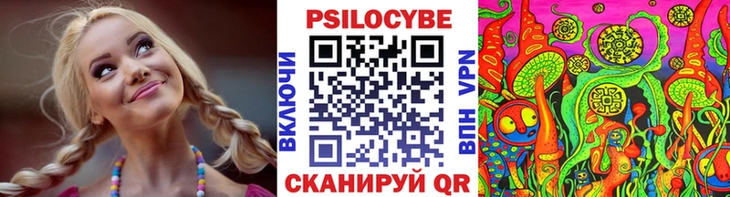 mega зеркало  Краснодар  Галлюциногенные грибы Psilocybine cubensis 
